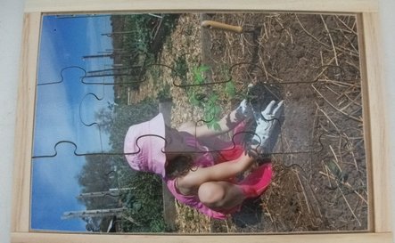 10148 - Planting