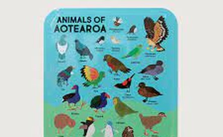 11072 - Animals of Aotearoa